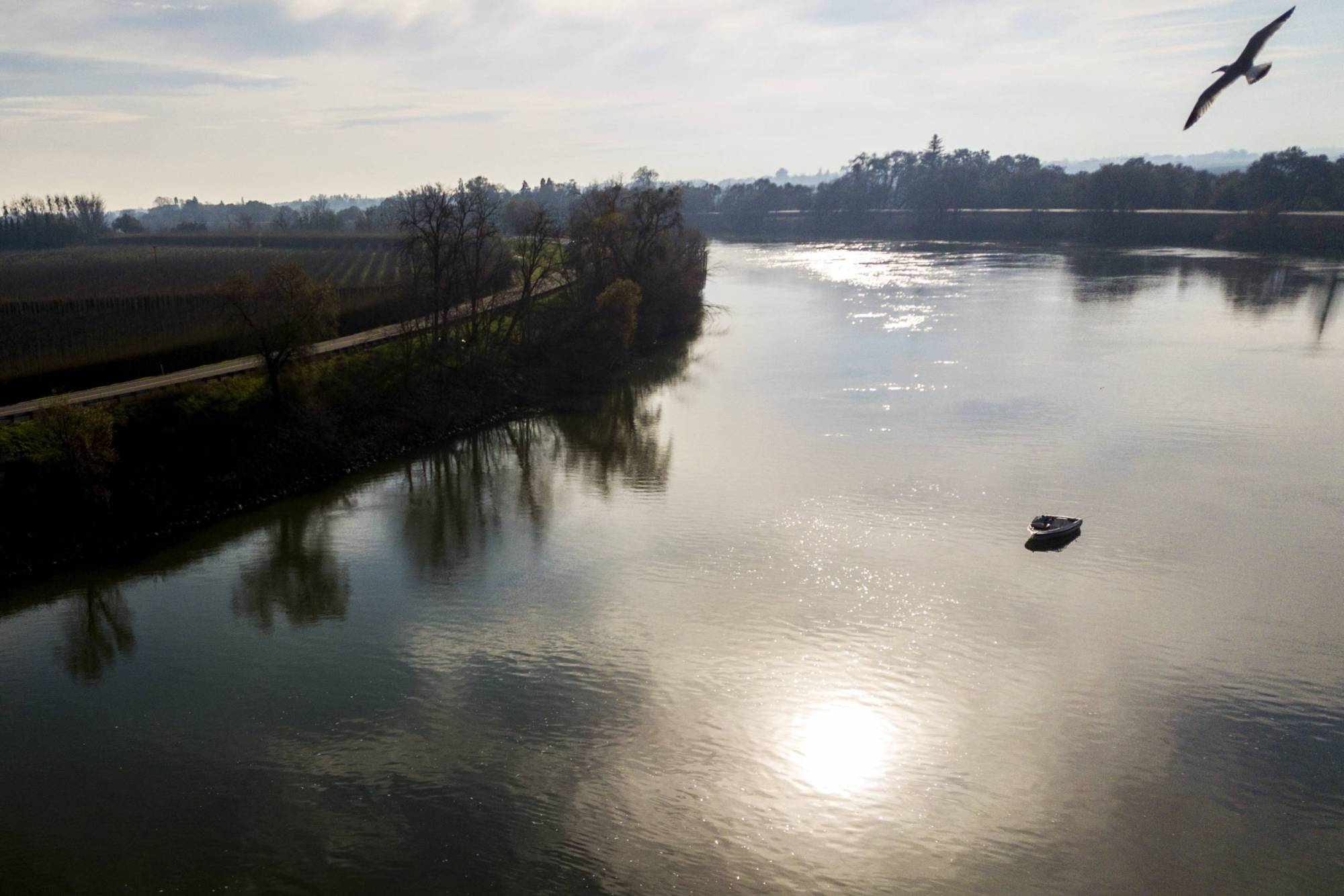 Newsom's Push to Fast-Track Delta Tunnel Fails, Moving Fight to High-Stakes Hearing | KQED