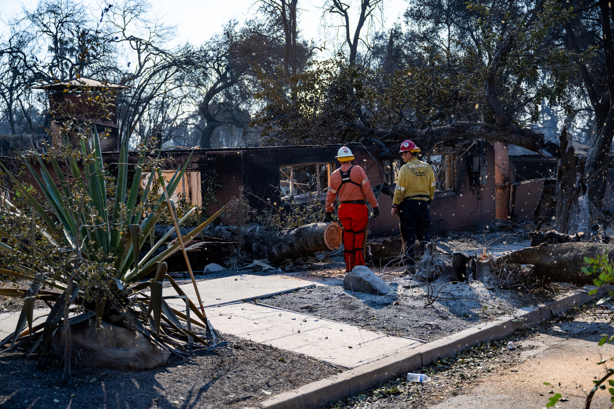 California Needs a New Approach to Wildfire Planning, Experts Say. Cost Is an Issue | KQED
