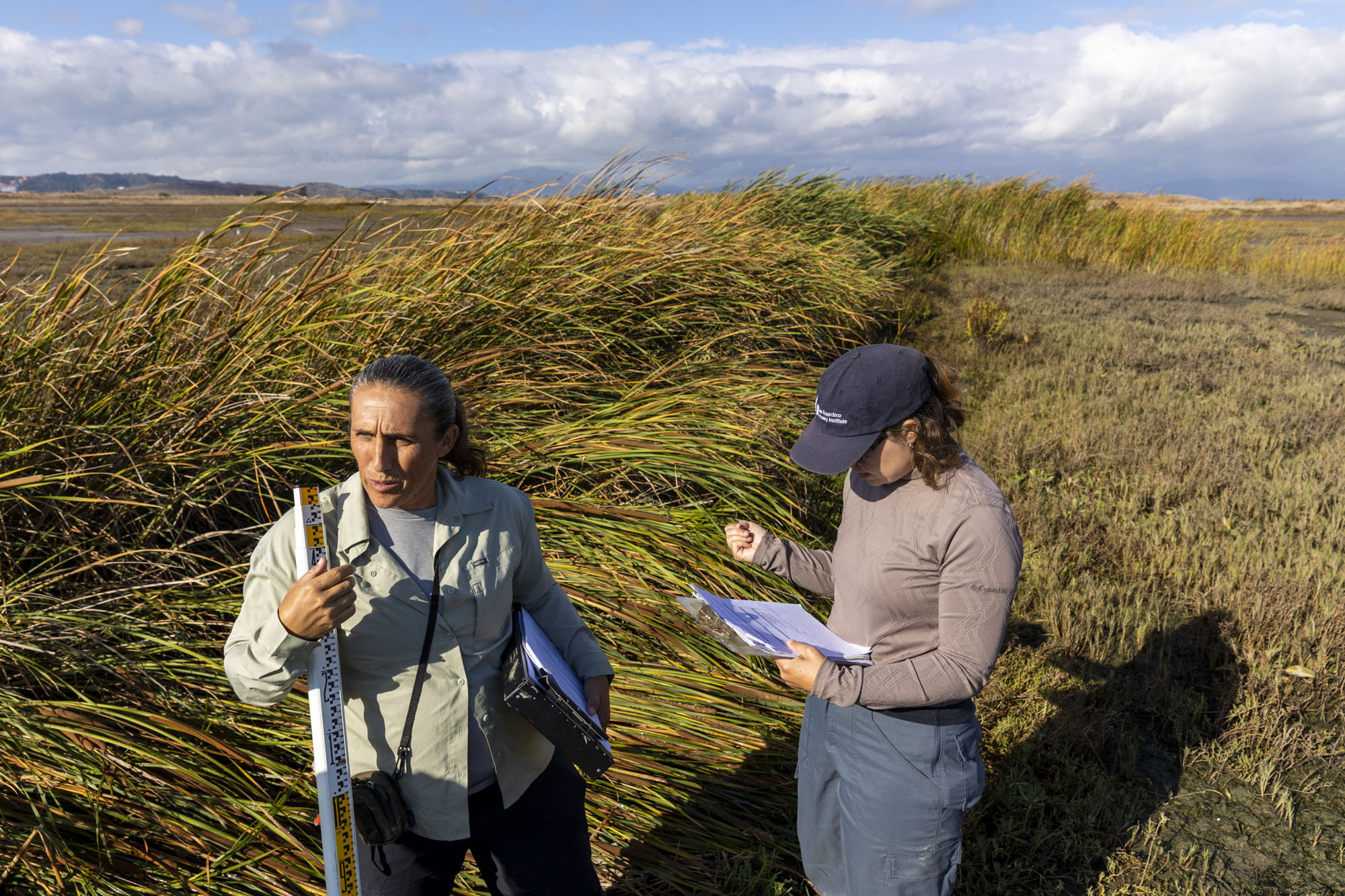 Rising Tides Drive a Bay Area Push to Bring Back Vanished Marshlands | KQED