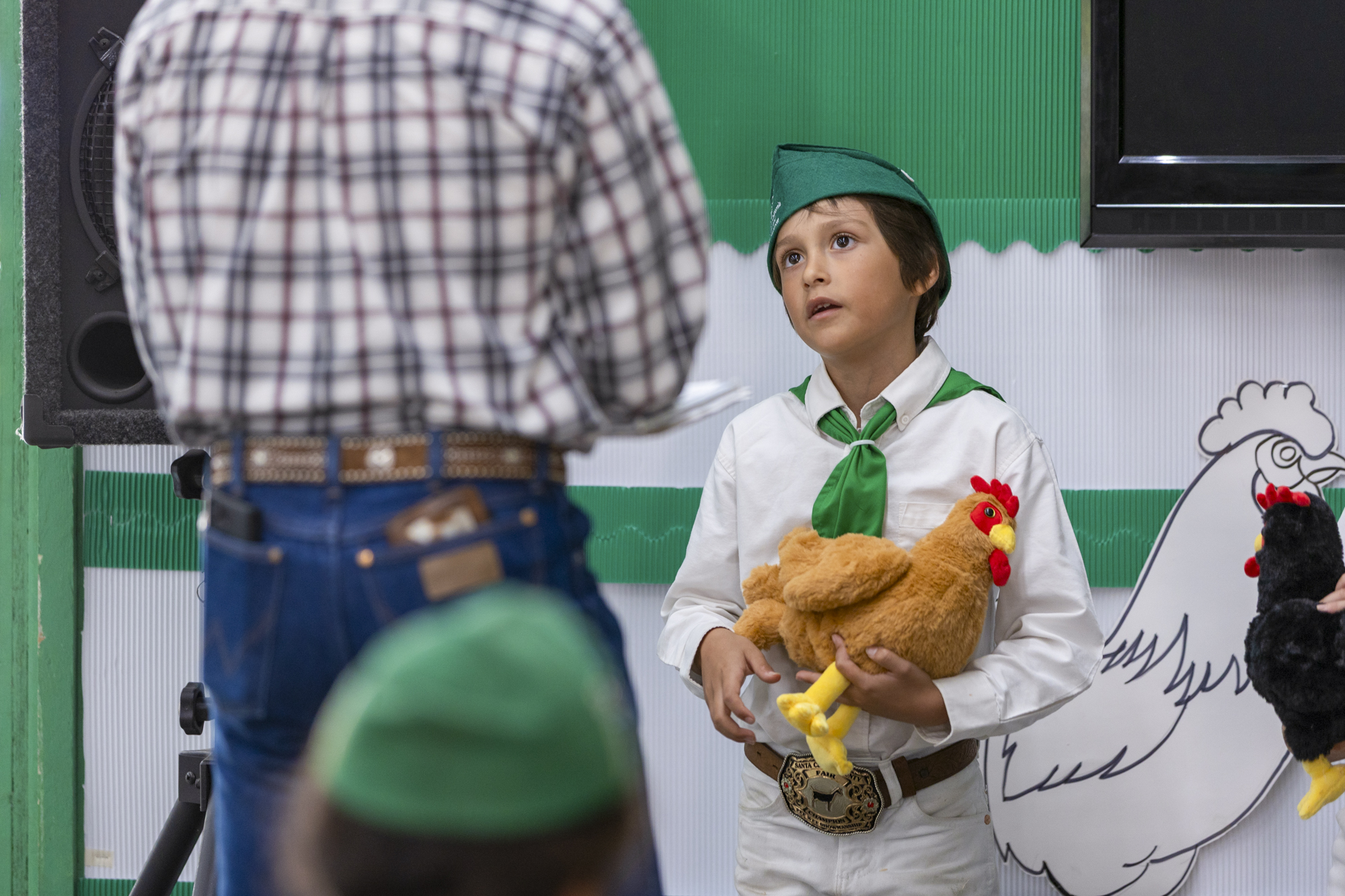 Chickenless Chicken Shows? Bird Flu Reshapes County Fairs and 4-H Kids Make Do | KQED
