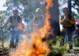 Can Controlled Burns Reduce California’s Air Pollution? episode artwork