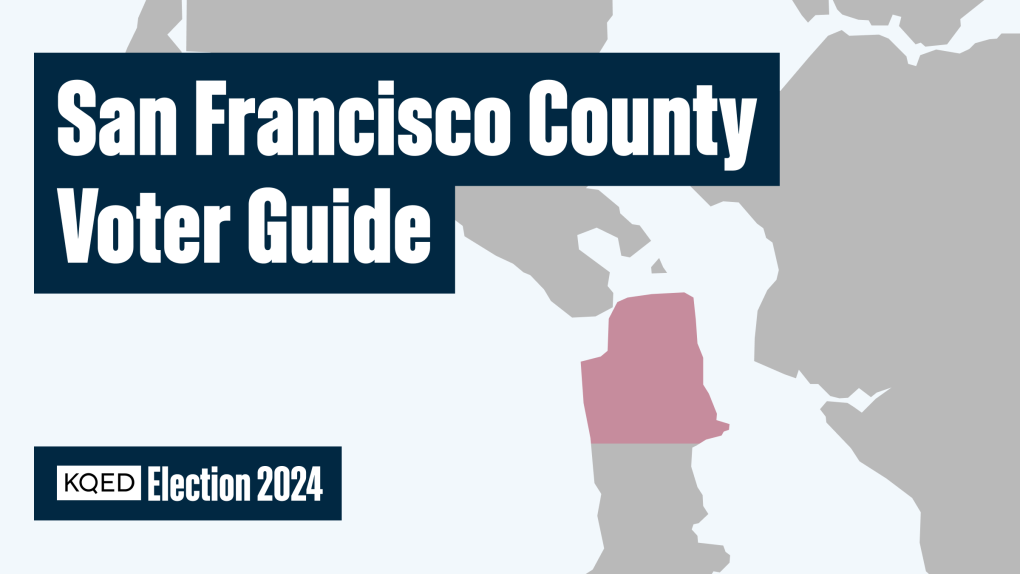 Meet The Judges 2024 SF Superior Court Election Guide KQED   KQED Voter Guide Local Elections San Francisco County 1200x675@2x 1020x574 