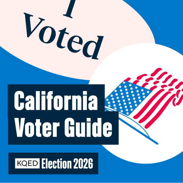 Voter Guide 2026